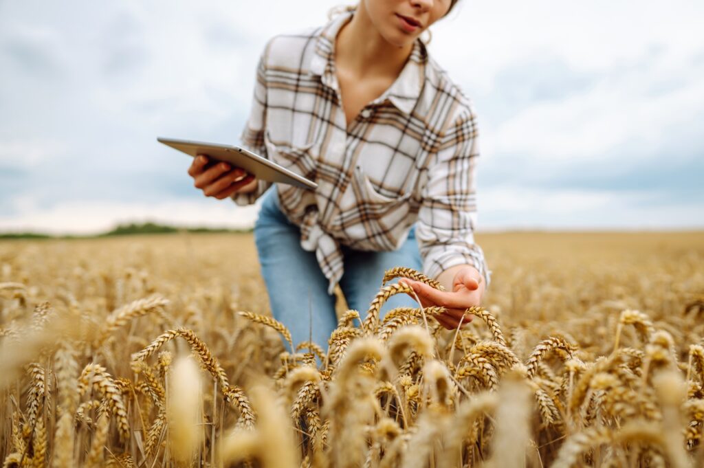 Synesys Digital Transformation